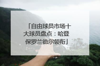 自由球员市场十大球员盘点：哈登保罗兰德尔领衔