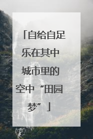 自给自足 乐在其中 城市里的空中“田园梦”