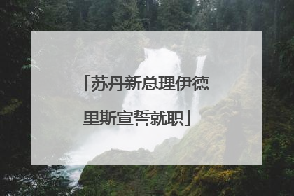 苏丹新总理伊德里斯宣誓就职