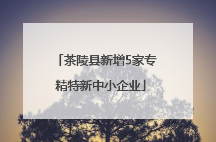 茶陵县新增5家专精特新中小企业