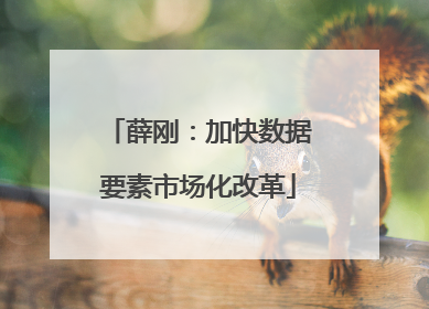 薛刚：加快数据要素市场化改革