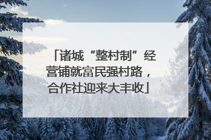 诸城“整村制”经营铺就富民强村路，合作社迎来大丰收