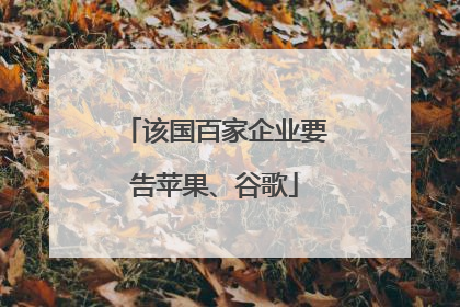 该国百家企业要告苹果、谷歌