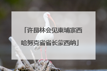 许昆林会见柬埔寨西哈努克省省长蒙西纳