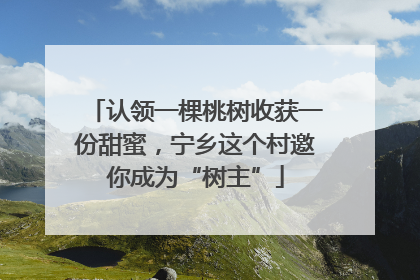 认领一棵桃树收获一份甜蜜，宁乡这个村邀你成为“树主”