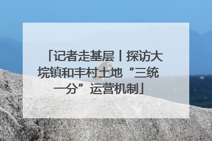 记者走基层丨探访大垸镇和丰村土地“三统一分”运营机制