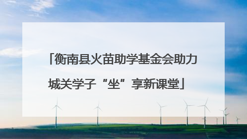 衡南县火苗助学基金会助力城关学子“坐”享新课堂