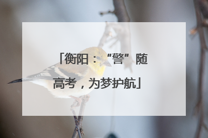 衡阳：“警”随高考，为梦护航