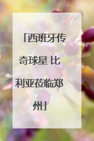 西班牙传奇球星 比利亚莅临郑州