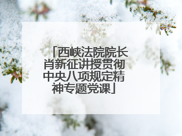 西峡法院院长肖新征讲授贯彻中央八项规定精神专题党课