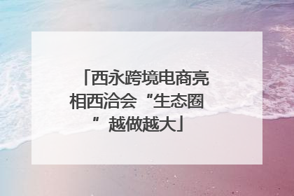 西永跨境电商亮相西洽会“生态圈”越做越大
