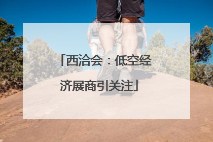 西洽会：低空经济展商引关注