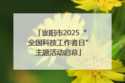 襄阳市2025“全国科技工作者日”主题活动启幕