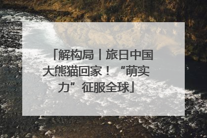 解构局丨旅日中国大熊猫回家！“萌实力”征服全球