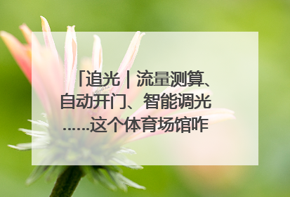 追光｜流量测算、自动开门、智能调光……这个体育场馆咋这么先进？