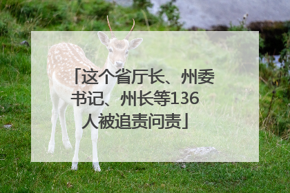 这个省厅长、州委书记、州长等136人被追责问责