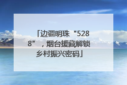 边疆明珠“5288”，烟台援藏解锁乡村振兴密码