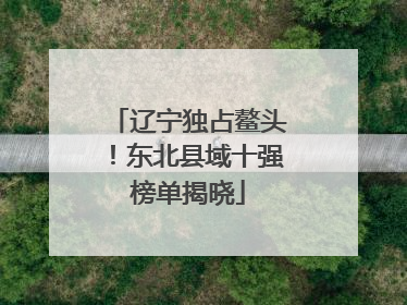 辽宁独占鳌头！东北县域十强榜单揭晓