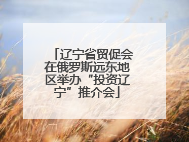 辽宁省贸促会在俄罗斯远东地区举办“投资辽宁”推介会