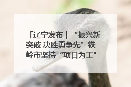 辽宁发布｜“振兴新突破 决胜勇争先”铁岭市坚持“项目为王”推进经济高质量发展