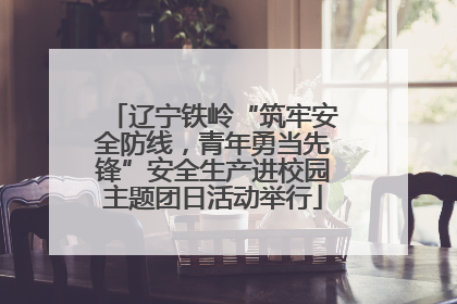 辽宁铁岭“筑牢安全防线，青年勇当先锋”安全生产进校园主题团日活动举行