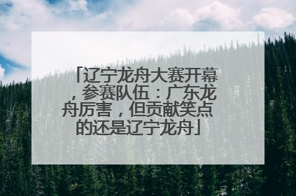 辽宁龙舟大赛开幕，参赛队伍：广东龙舟厉害，但贡献笑点的还是辽宁龙舟