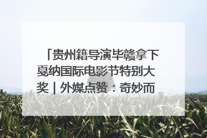 贵州籍导演毕赣拿下戛纳国际电影节特别大奖｜外媒点赞：奇妙而广阔的纯粹电影梦