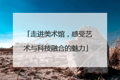 走进美术馆，感受艺术与科技融合的魅力