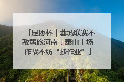 足协杯｜蓉城联赛不敌弱旅河南，泰山主场作战不妨“抄作业”
