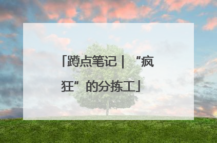 蹲点笔记｜“疯狂”的分拣工