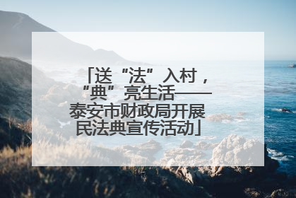 送“法”入村，“典”亮生活——泰安市财政局开展民法典宣传活动