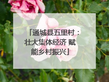 通城县五里村：壮大集体经济 赋能乡村振兴