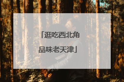 逛吃西北角 品味老天津