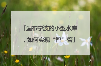遍布宁波的小型水库，如何实现“智”管