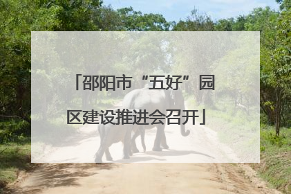 邵阳市“五好”园区建设推进会召开