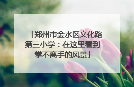 郑州市金水区文化路第三小学：在这里看到拳不离手的风景