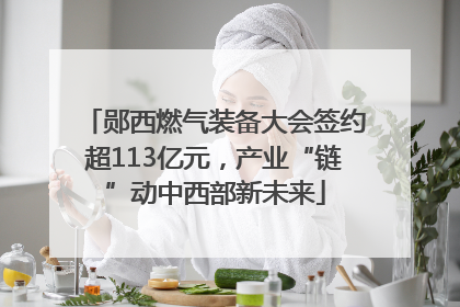 郧西燃气装备大会签约超113亿元，产业“链”动中西部新未来
