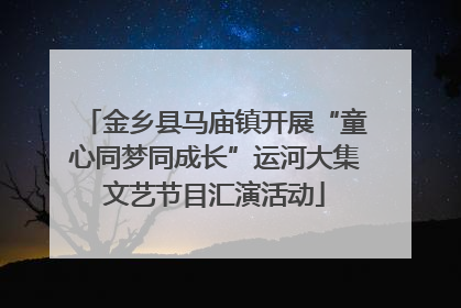 金乡县马庙镇开展“童心同梦同成长”运河大集文艺节目汇演活动