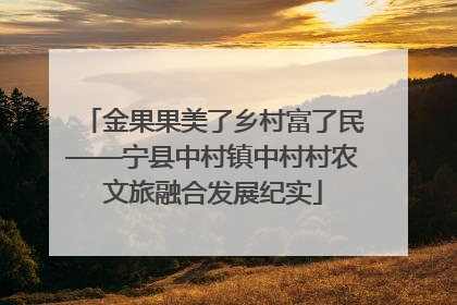 金果果美了乡村富了民——宁县中村镇中村村农文旅融合发展纪实