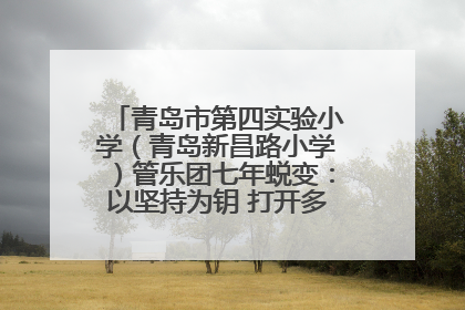 青岛市第四实验小学（青岛新昌路小学）管乐团七年蜕变：以坚持为钥 打开多元成长之门