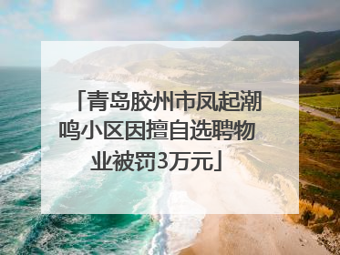 青岛胶州市凤起潮鸣小区因擅自选聘物业被罚3万元