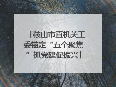 鞍山市直机关工委锚定“五个聚焦”抓党建促振兴