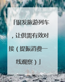 银发旅游列车，让供需有效对接（提振消费一线观察）