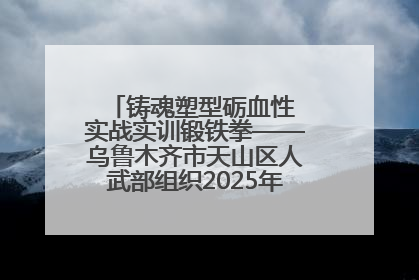 铸魂塑型砺血性 实战实训锻铁拳——乌鲁木齐市天山区人武部组织2025年度民兵集中轮训