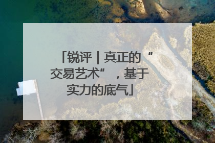 锐评｜真正的“交易艺术”，基于实力的底气