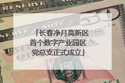 长春净月高新区首个数字产业园区党总支正式成立