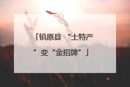 镇原县 “土特产”变“金招牌”