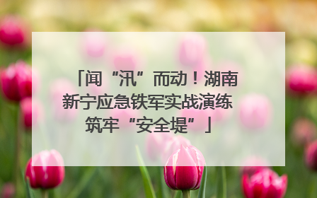 闻“汛”而动！湖南新宁应急铁军实战演练筑牢“安全堤”