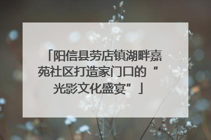 阳信县劳店镇湖畔嘉苑社区打造家门口的“光影文化盛宴”