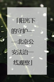阳光下的守护——北京公安法治一线观察